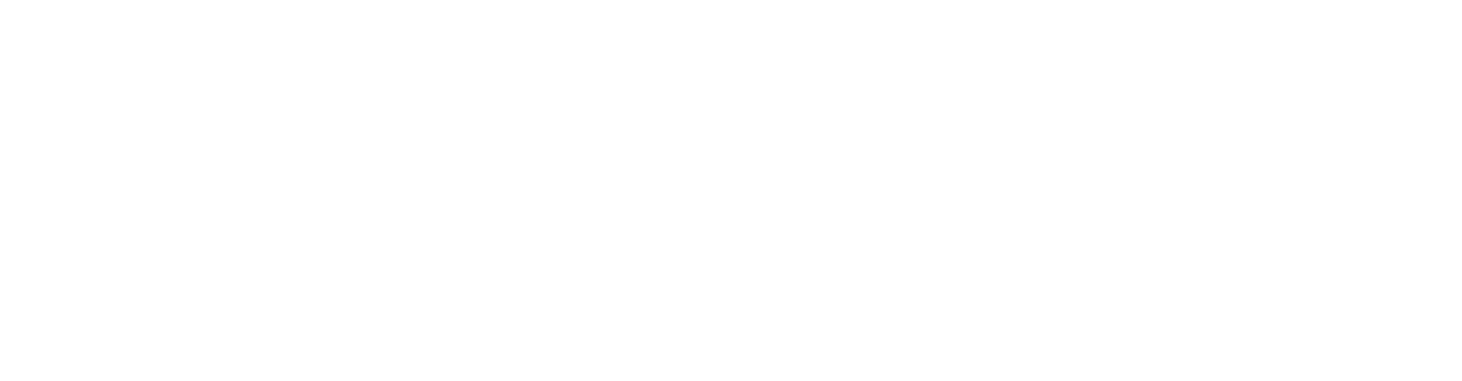Bar Robusta Logo